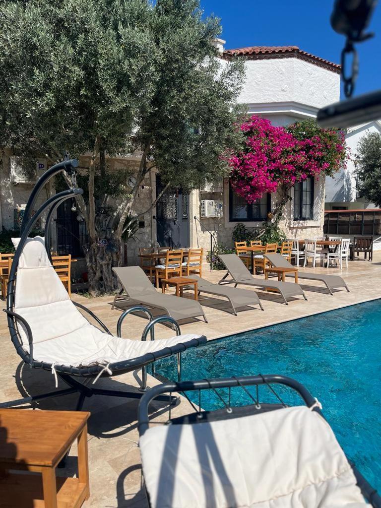 Alacati Albatross Hotel エクステリア 写真